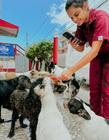 Haschi Hospedagem